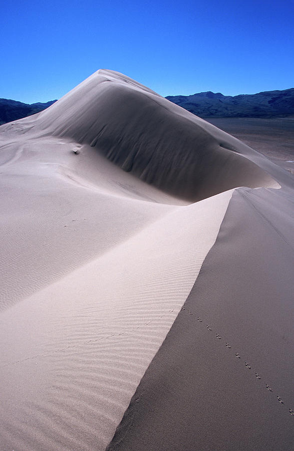 Eureka Valley Sand Dunes by Karl Lehmann