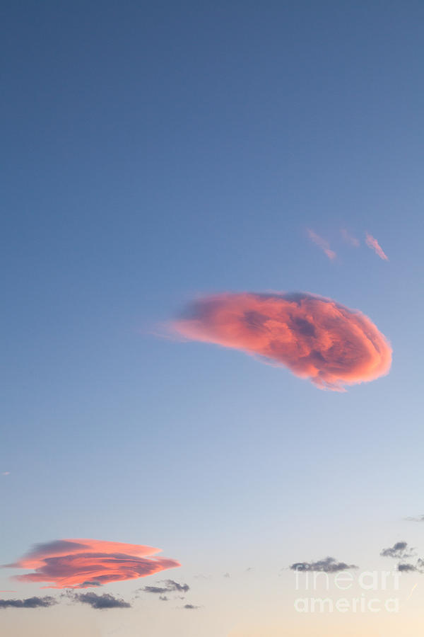 Evening pink clouds in blue sky #1 Photograph by Peter Noyce