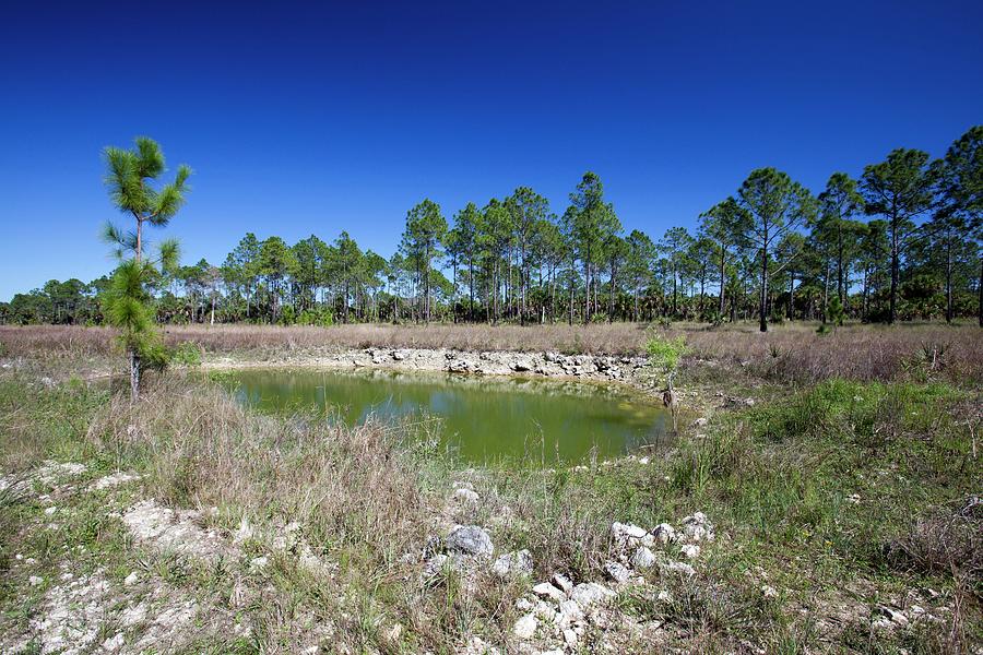 Everglades Restoration #1 Photograph by Jim West