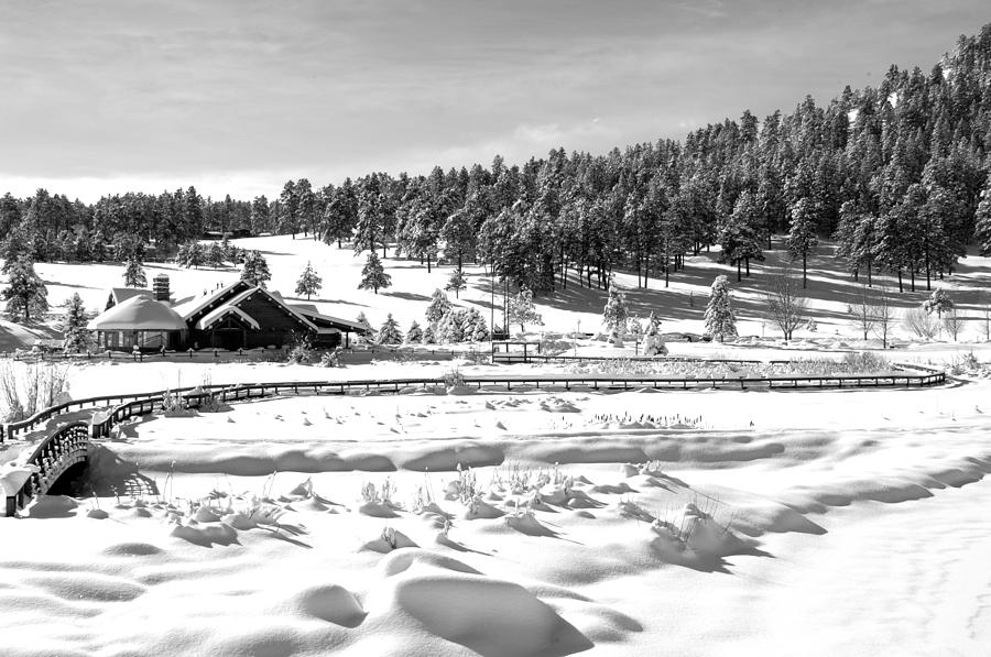 Evergreen Lake House Winter #1 Photograph by Ron White