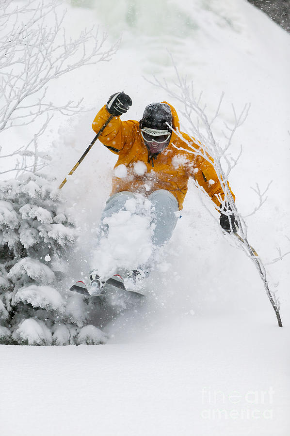Winter Photograph - Expert skier skiing powder snow. #1 by Don Landwehrle