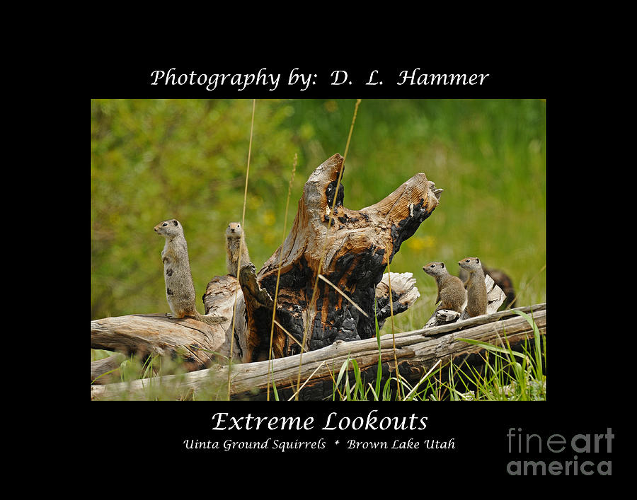 Extreme Lookouts #1 Photograph by Dennis Hammer