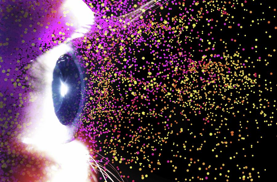 Eye And Colourful Particles #1 Photograph by Science Photo Library Eye And Colourful Particles #1 Photograph by Science Photo Library