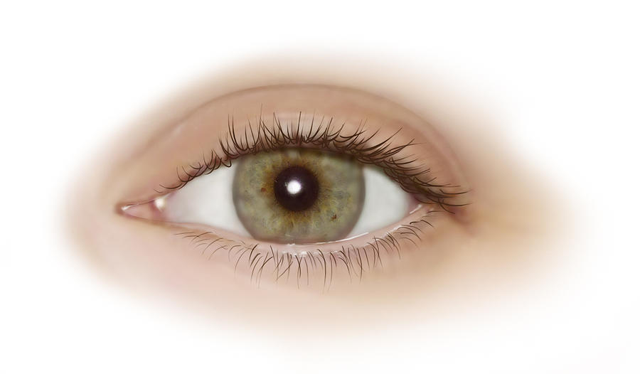 Eye Photograph - Eye, Illustration #1 by QA International