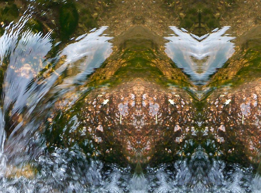 Faces in Water II #1 Photograph by Lanita Williams