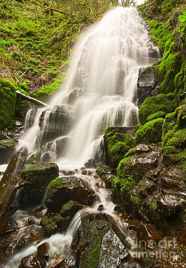 Fantasy Photograph - Fairy Falls in the Columbia River Gorge Area of Oregon #1 by Jamie Pham