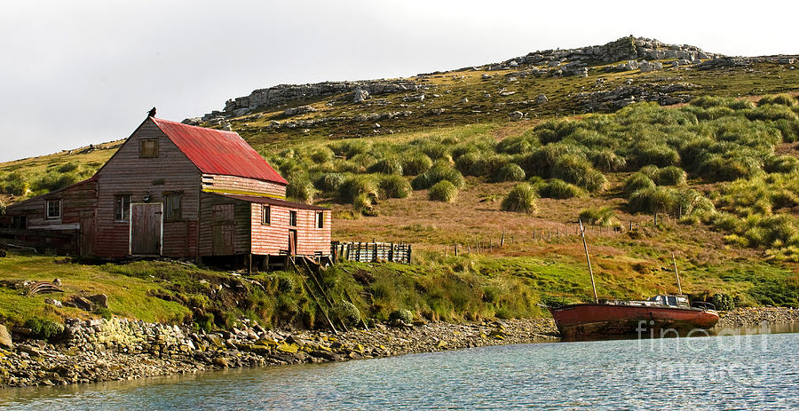 Falkland Island Farm #1 Photograph by John Shaw