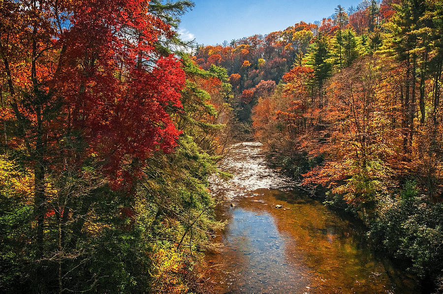 Landscape Photograph - Fall Along the Linville River #1 by Lynn Bauer