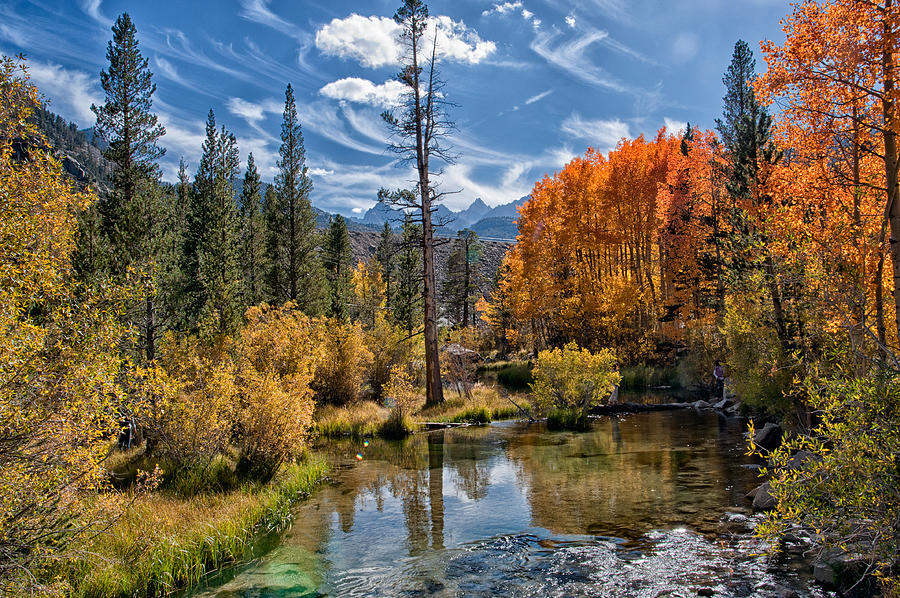 Mountain Photograph - Fall at Bishop Creek #1 by Cat Connor
