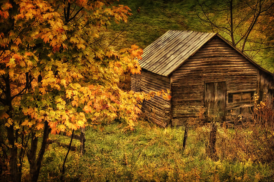 Fall at the Farm #1 Photograph by Priscilla Burgers