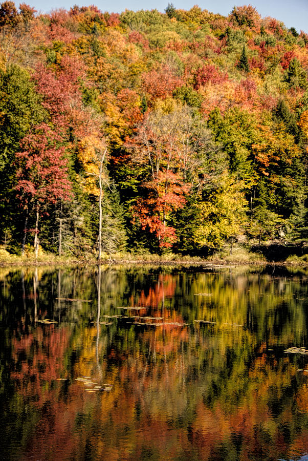 Fall Colors Photograph by Joshua Fredericks - Fine Art America