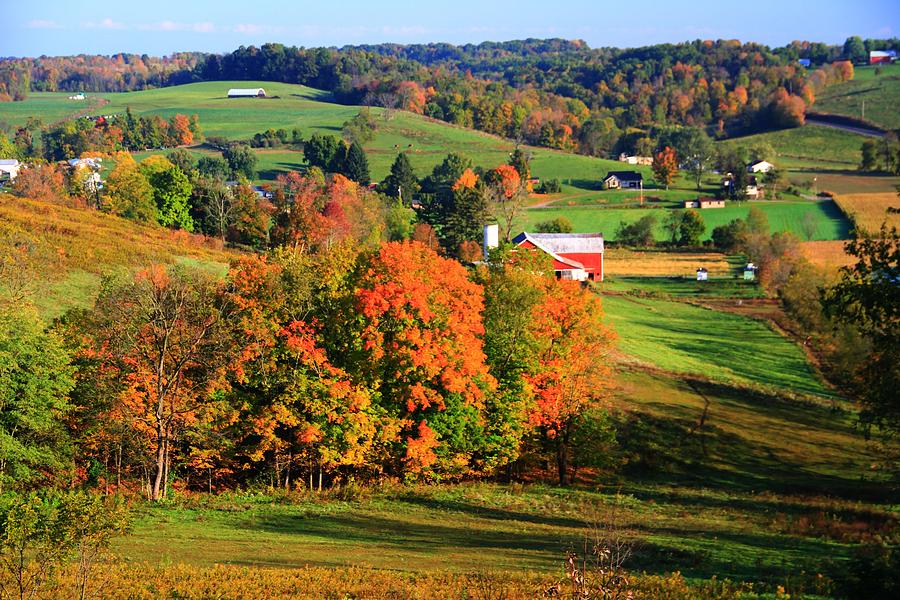 Fall Colors In Ohio Photograph by Dan Sproul