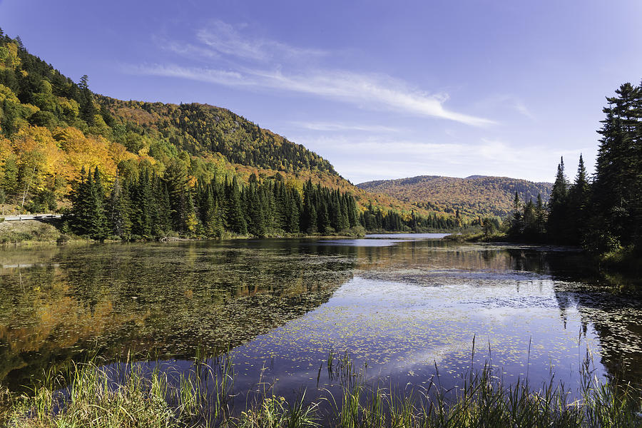 Fall colours in Canada #1 Photograph by Josef Pittner