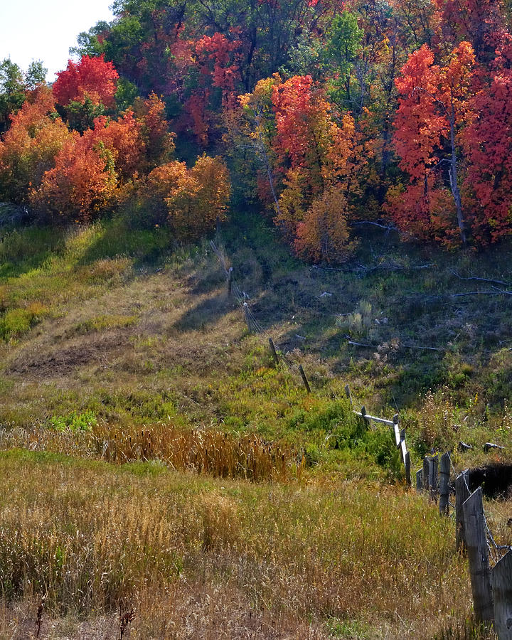 Fall Fence Line 12052 #1 Photograph by Jerry Sodorff