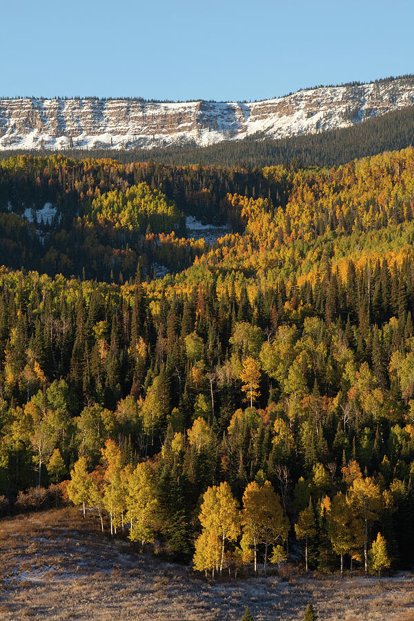 Fall Foliage And Snow-dusted Peaks #1 Photograph by Karen Desjardin