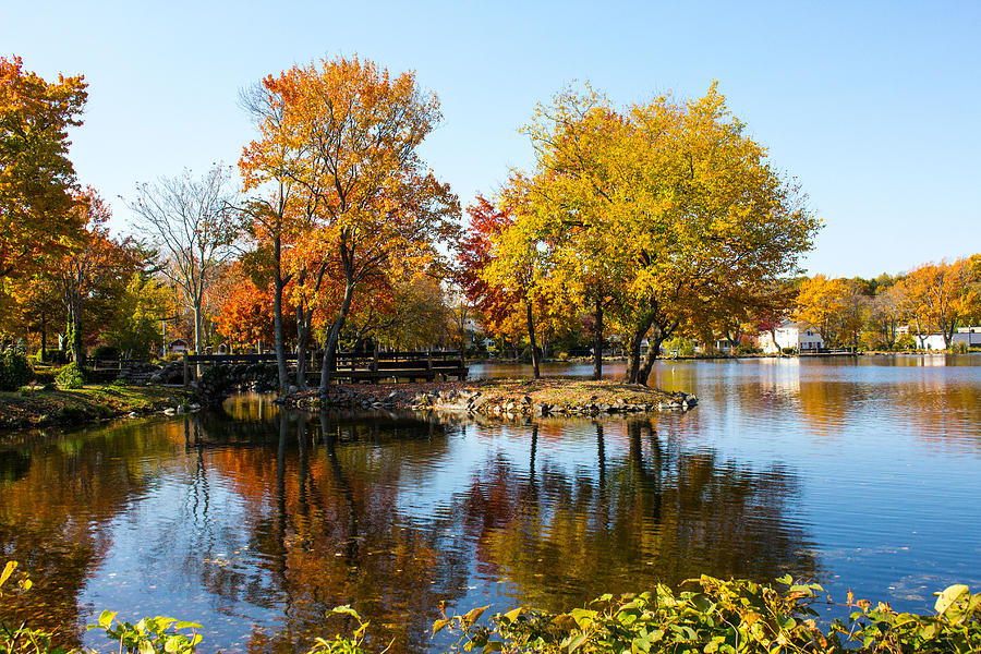 Fall Foliage at Heckscher Park Huntington NY Photograph by Susan Jensen