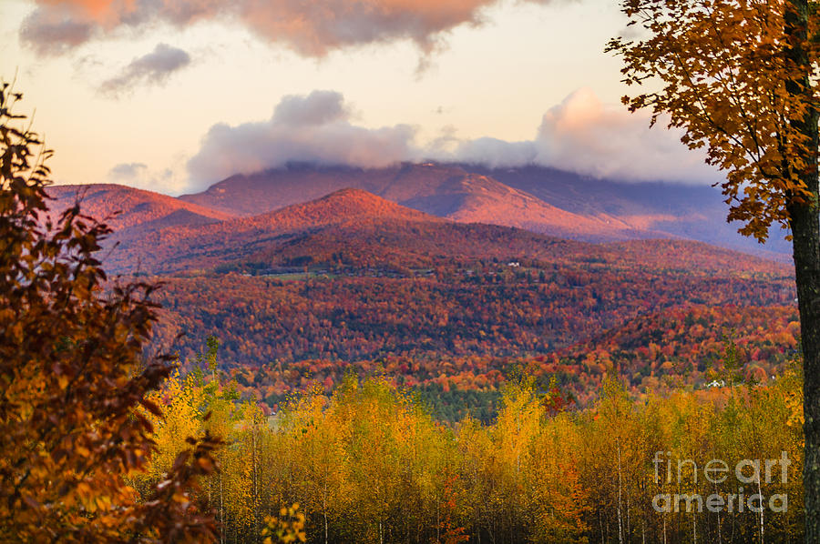 Fall foliage on Mt. Mansfield in Stowe Vermont USA #1 Photograph by Don Landwehrle