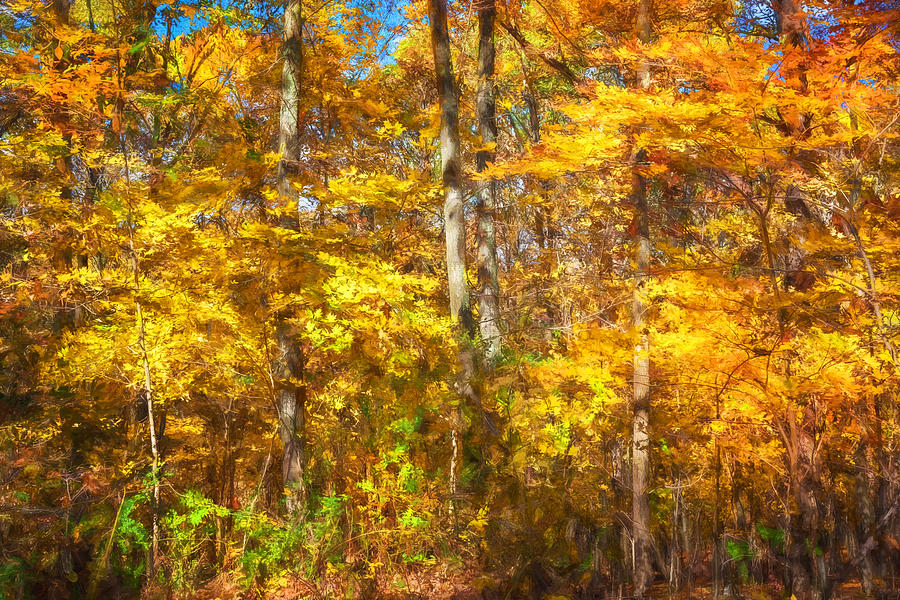 Fall Foliage Sussex County New Jersey Painted  #1 Photograph by Rich Franco