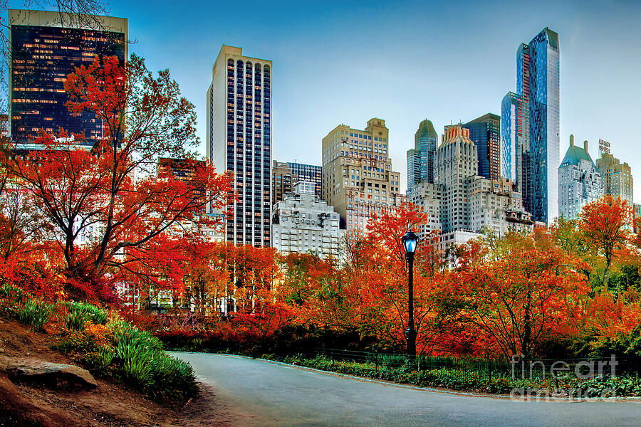 Fall In Central Park Photograph by Az Jackson