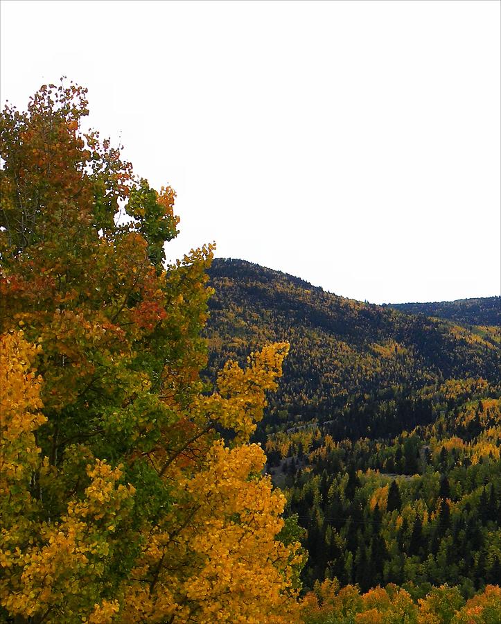 Fall in Colorado #1 Photograph by Michelle Frizzell-Thompson