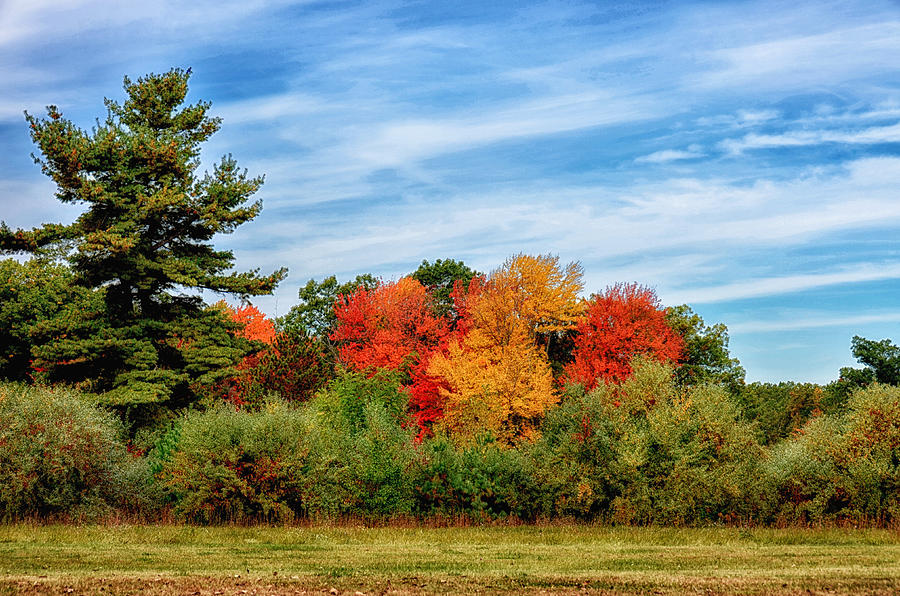 Fall in New England #1 Photograph by Tricia Marchlik