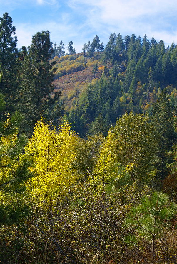 Fall in Spokane #1 Photograph by Ben Upham III