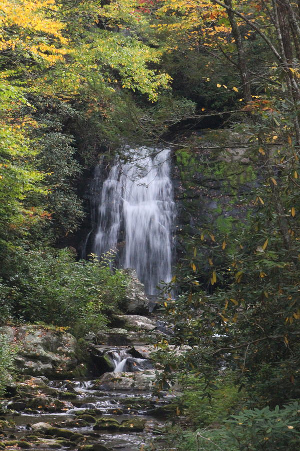 Fall in the Smokies by Cynthia Mask Fall in the Smokies by Cynthia Mask