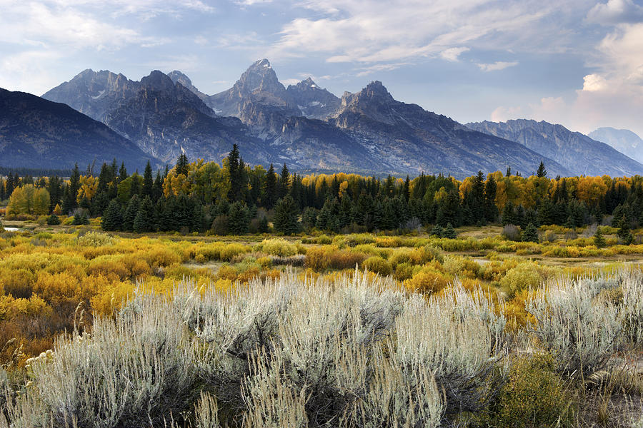 Fall in the Tetons #1 Photograph by Eric Foltz