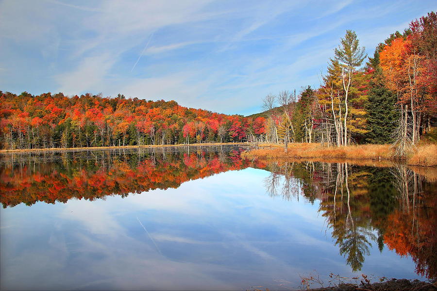 Fall Reflection #1 Photograph by Andrea Galiffi