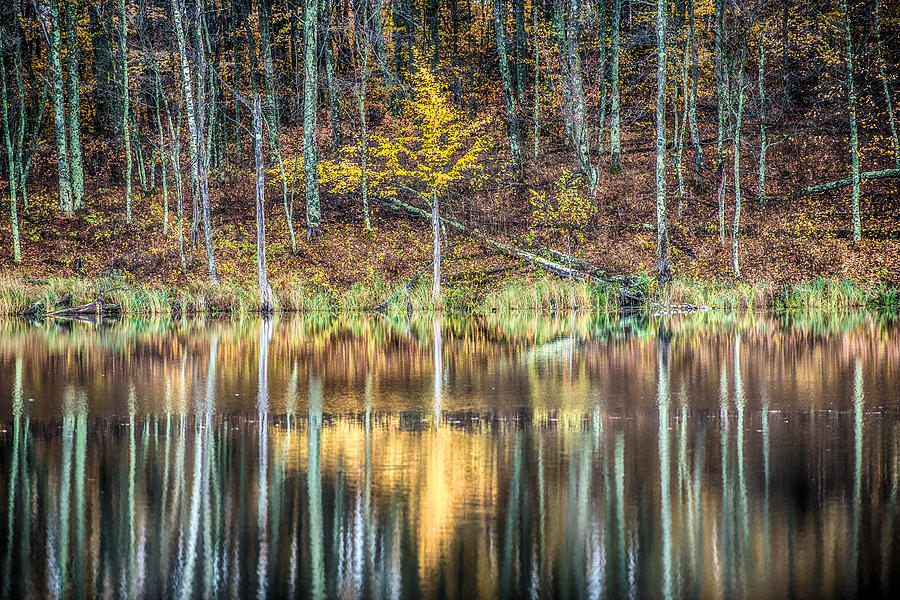 Fall Reflections Photograph by Paul Freidlund