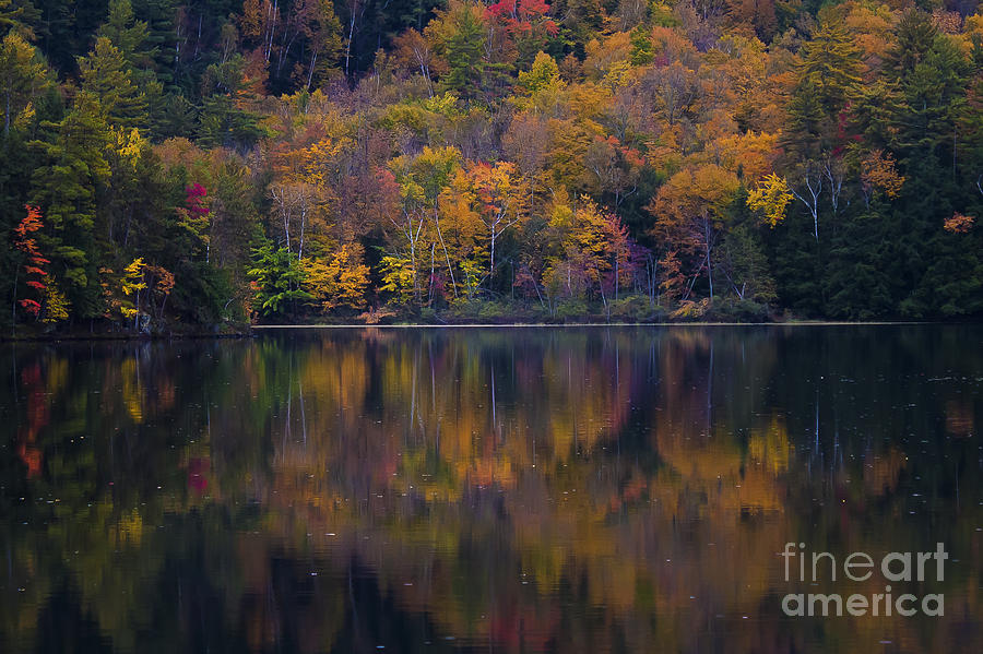 Fall Reflections Photograph