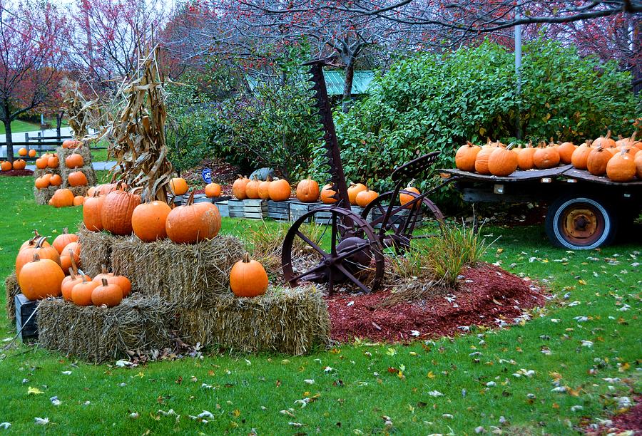 Fall Scenery Photograph by Nancy Jenkins - Fine Art America