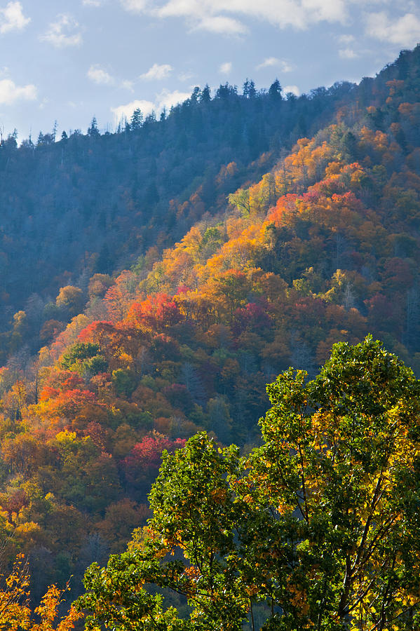 Fall Smoky Mountains #1 Photograph by Melinda Fawver