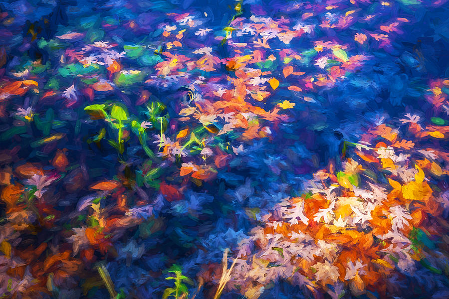 Fallen Leaves Lake Ames Rockaway Township NJ Painted  #2 Photograph by Rich Franco