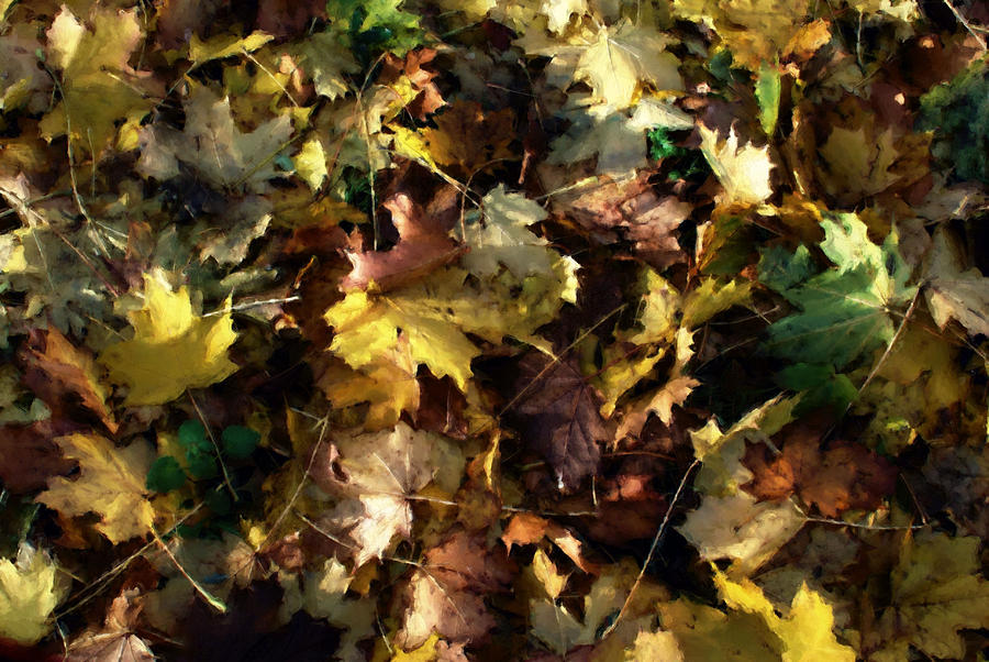 Fallen Leaves #1 Digital Art by Ron Harpham