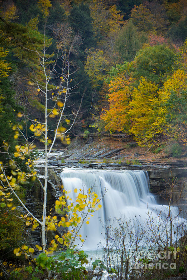 Falls at Letchworth Photograph by Brad Marzolf Photography