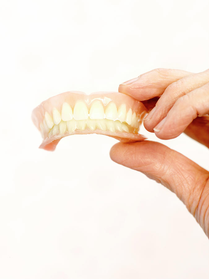 False Teeth #1 Photograph by Kate Jacobs/science Photo Library