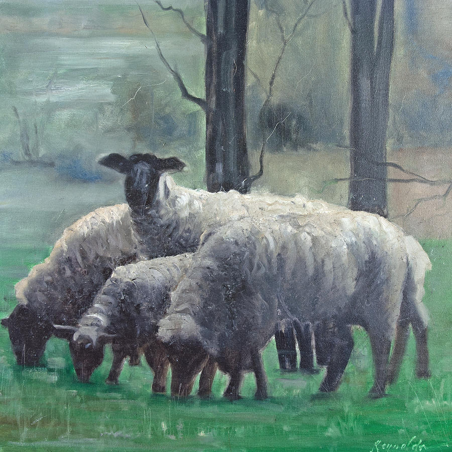 Sheep Painting - Family of Sheep #1 by John Reynolds
