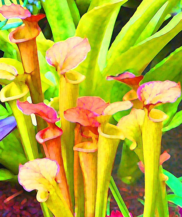 Fantasy Flowers 9 Photograph by Margaret Saheed