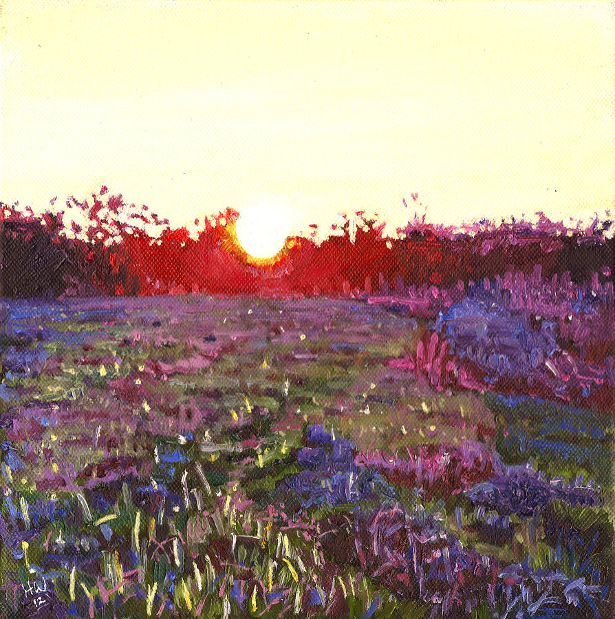 Sunset Painting - Farley sunset by Helen White