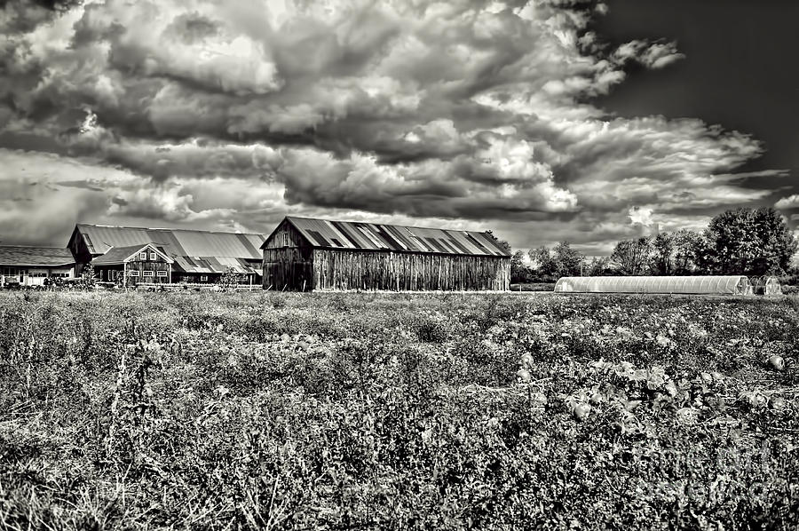 Barn Photograph - Farm #2 by HD Connelly