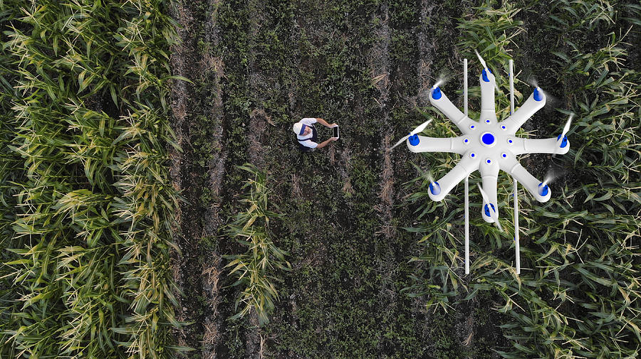 Farmer spraying his crops using a drone #1 Photograph by Baranozdemir