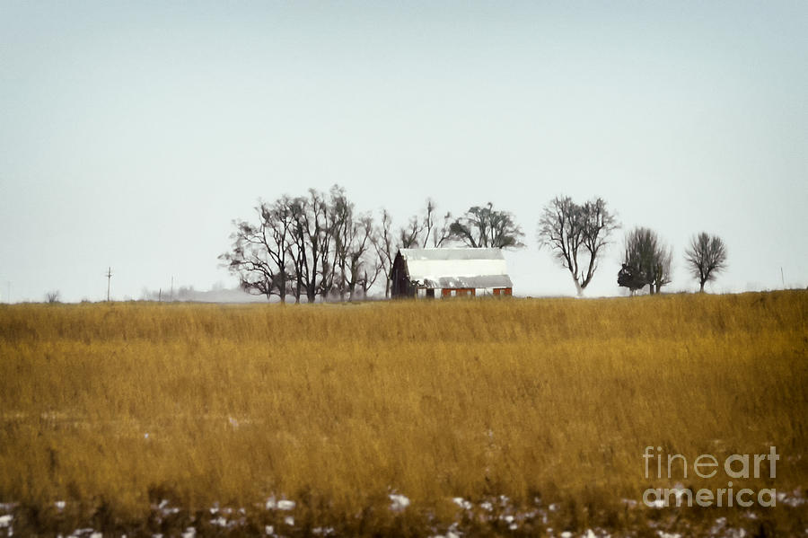 Winter Photograph - Farmland #1 by Margie Hurwich