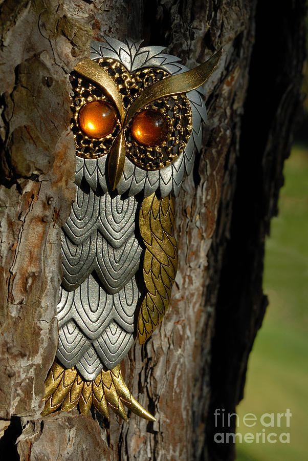 Feather Photograph - Faux Owl with Golden Eyes #1 by Amy Cicconi