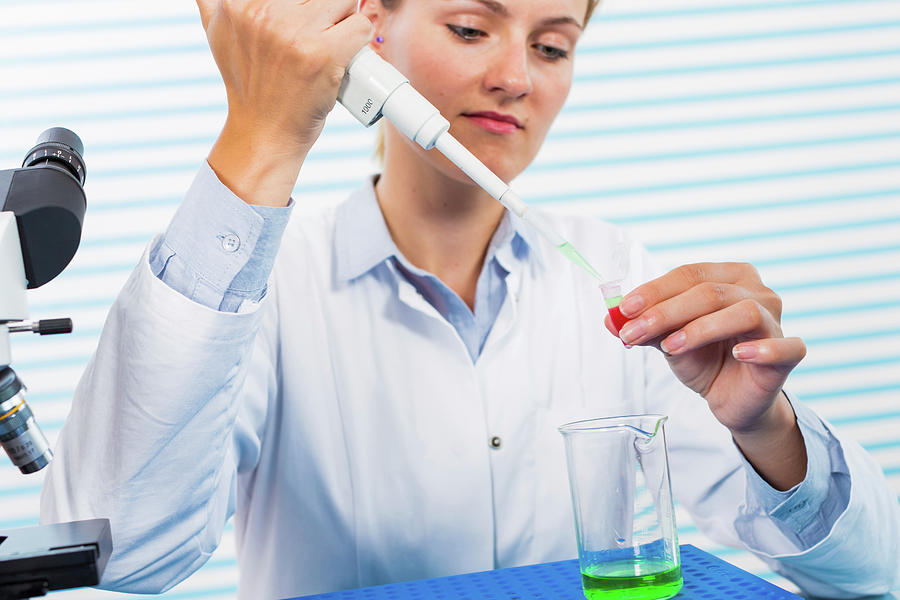 Female Chemist Using Pipette In Lab Photograph By Wladimir Bulgar Science Photo Library Fine