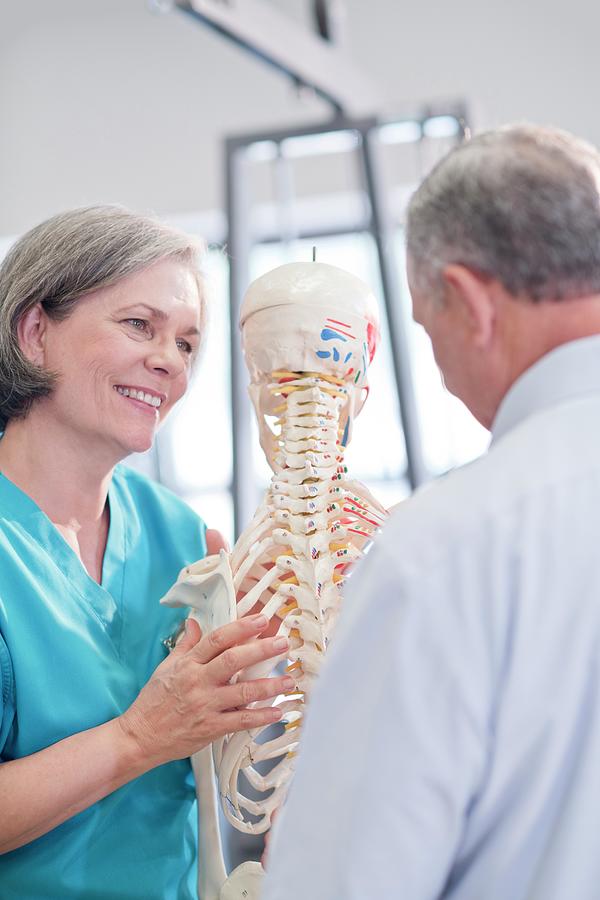 Female Chiropractor Showing Anatomical Model Photograph by Science ...