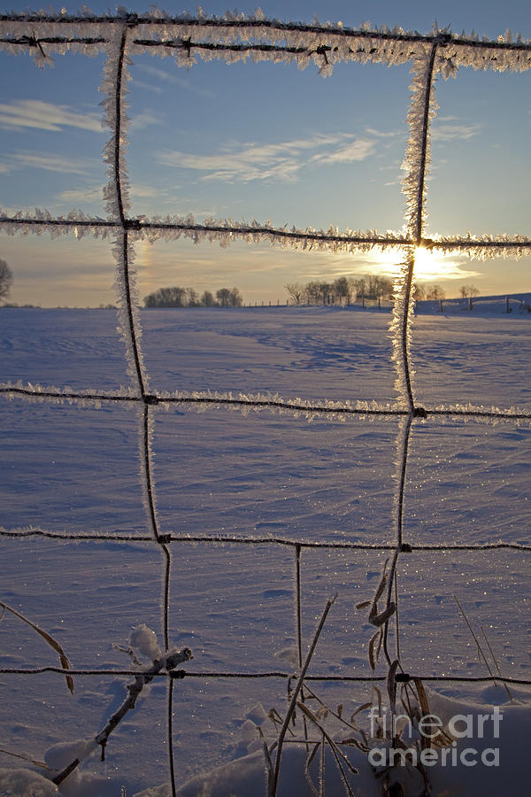 Fence and Frost Photograph by Jim West