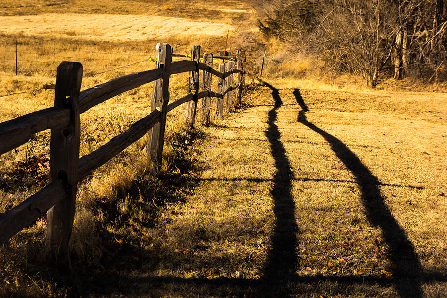 Fence and Shadow #1 Photograph by Jay Stockhaus