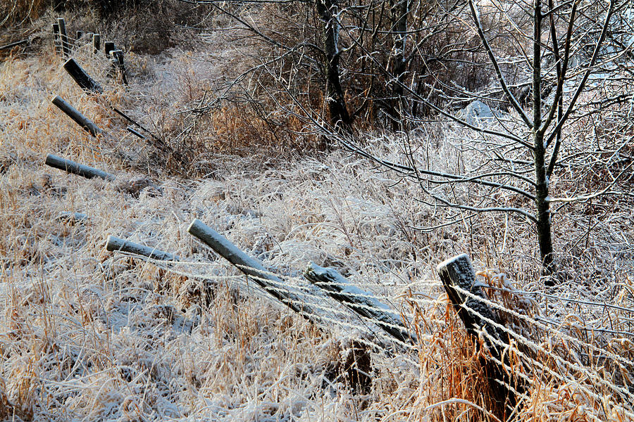 Fence in Winter #1 Photograph by Jim Vance