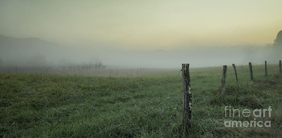 Fence Line and Fog #1 Photograph by David Waldrop